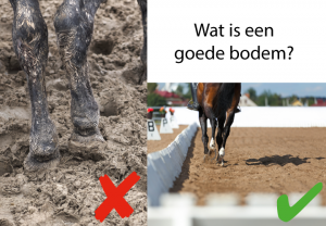 goede bodem voor paard artrose