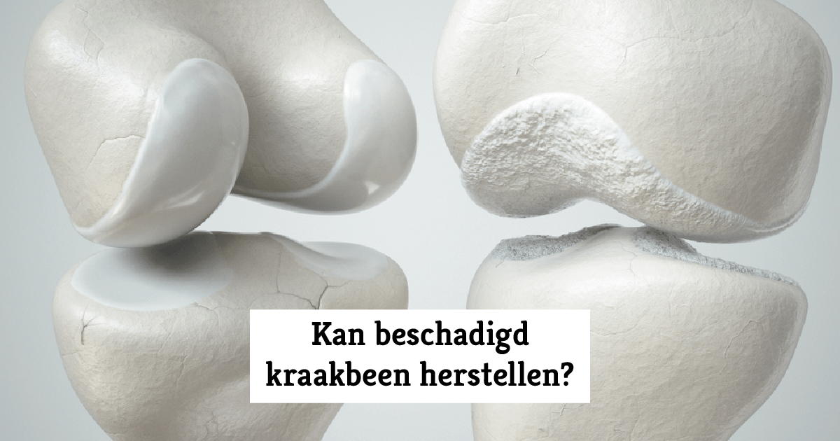 Kan beschadigd kraakbeen herstellen? Voet, knie, heup, schouder Kan beschadigd kraakbeen herstellen? Voet, knie, heup, schouder