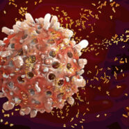 Dader Systemische Lupus Erythematodes (SLE) ontmaskerd?