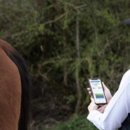 Bewaken paardengezondheid gaat nu hightech