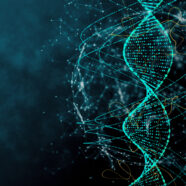 Doorbraak: nieuwe genetische risicofactoren voor artrose gevonden